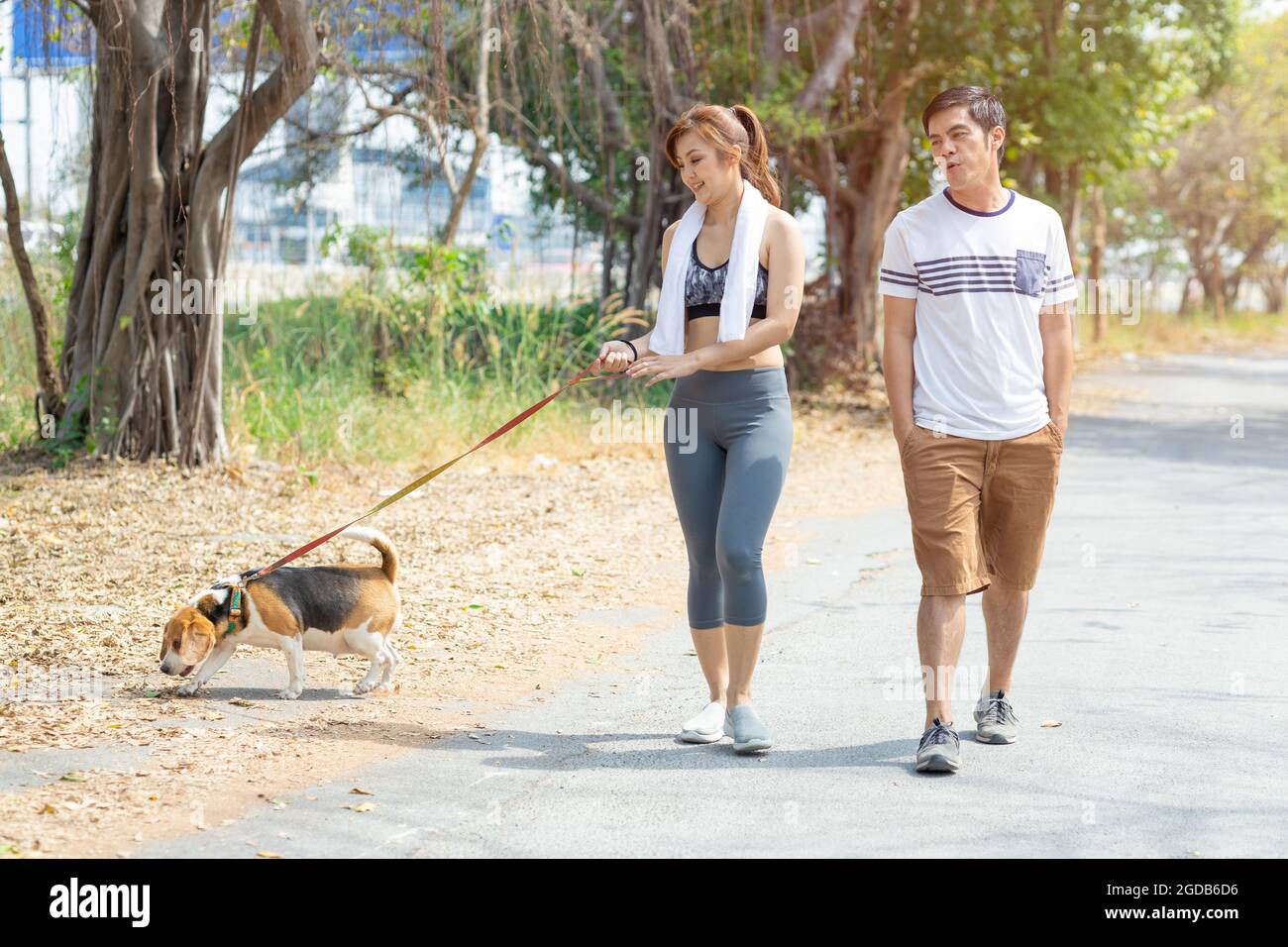 Menschen Paar zu Fuß mit freundlichen Haustier Beagle Hund moderne Familie morgendliche Aktivität für gesund. Stockfoto