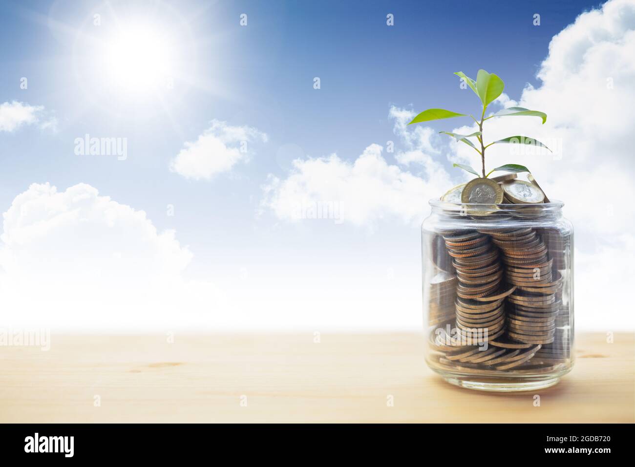 Pflanze wächst auf Münze für Geld sparen und Investitionen für Natur und Umwelt Hintergrund Werbung. Stockfoto