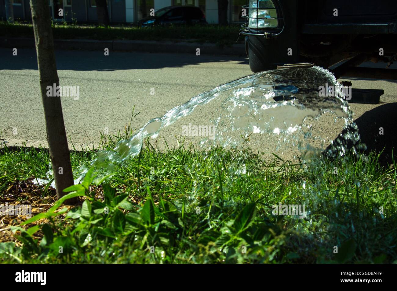 Ein LKW zur Bewässerung des Rasens gießt Wasser mit Wasserstrahlen auf den Rasen. City Rasenpflege Dienstleistungen. Stockfoto