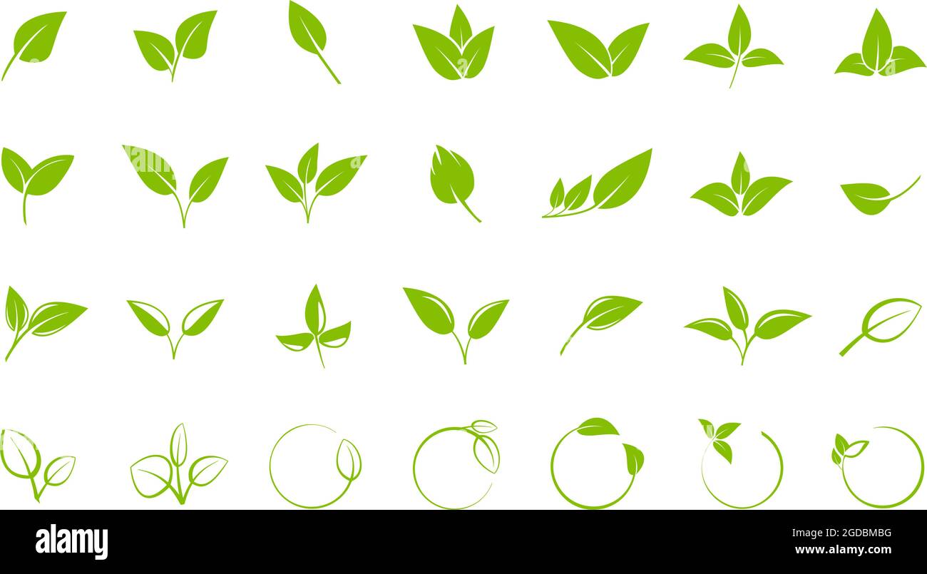Sammlung von grünen Blättern, Design-Elemente für Logos oder Symbole, Vektor-Illustration Icon-Set Stock Vektor