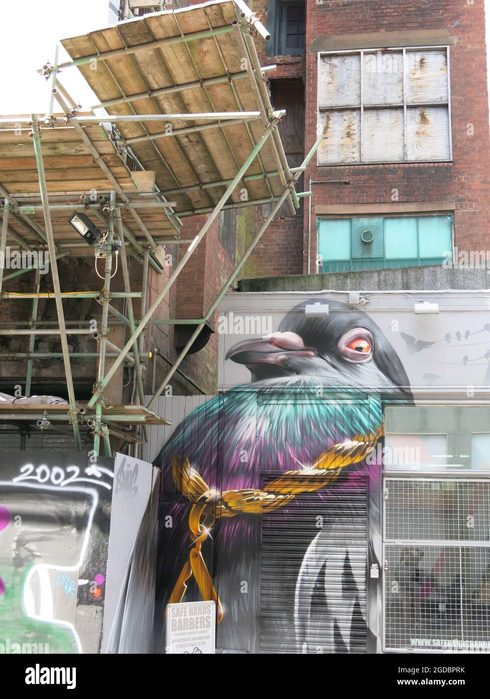 Es gibt einen Glasgow Mural Trail, auf dem Sie die Straßenkunst bewundern können, die zur Wiederbelebung des Stadtzentrums verwendet wird, einschließlich dieses farbenfrohen Vogels. Stockfoto