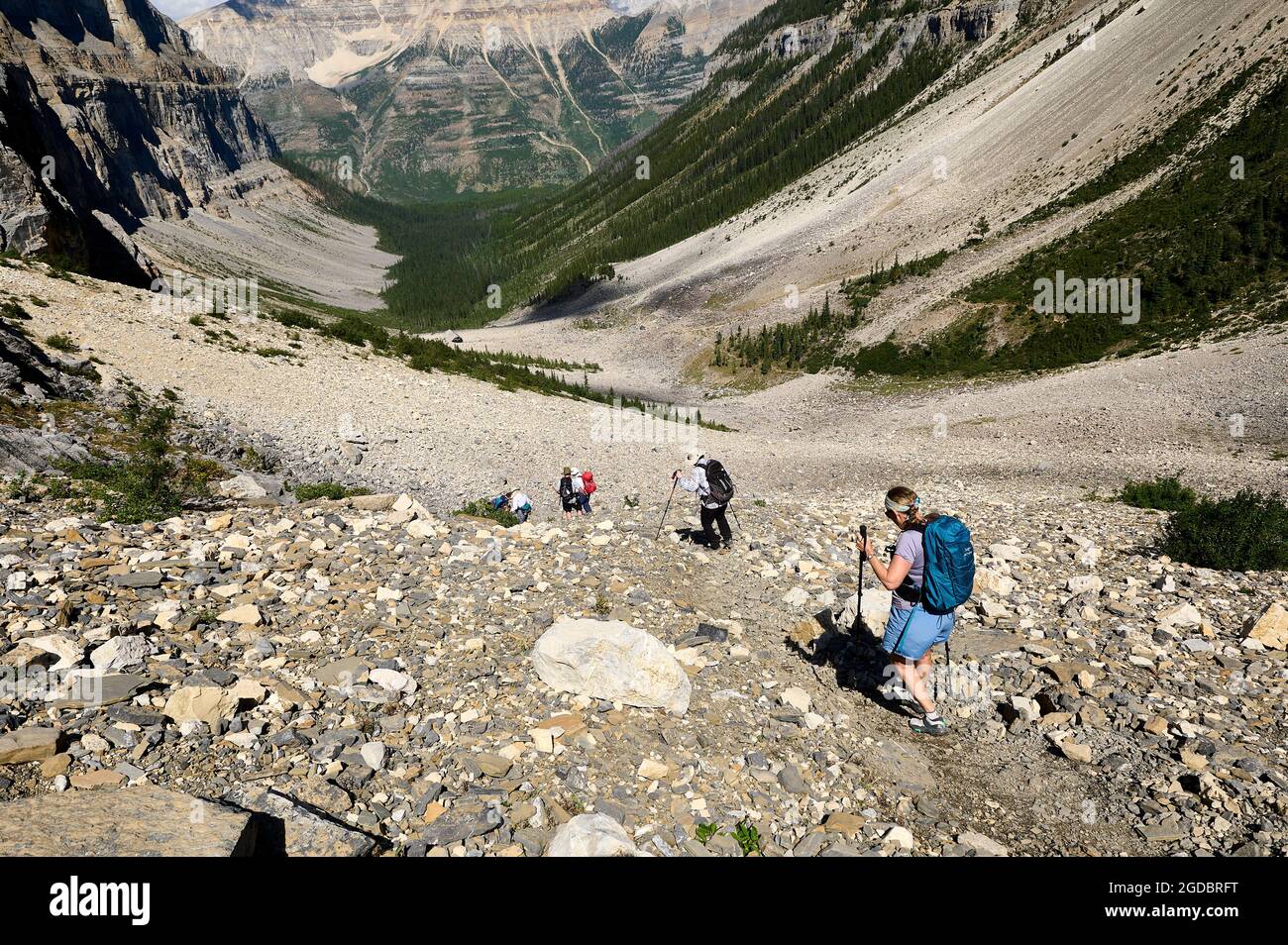 Wandern auf dem Steinschlaghang, Stanley Glacier Trail, Kootenay National Park, British Columbia, Kanada. Stockfoto