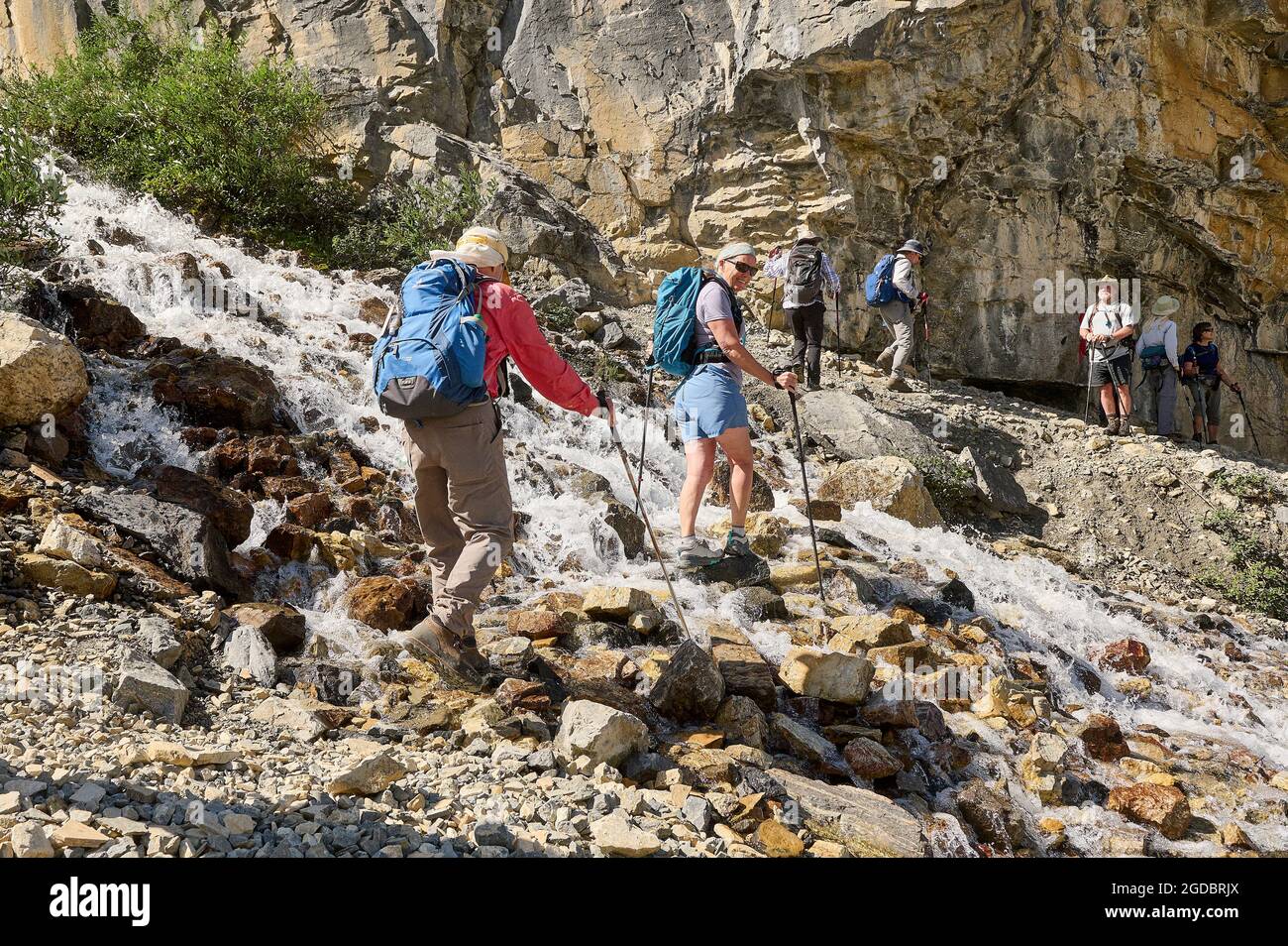Wanderer überqueren einen Bach, der vom Stanley Glacier, Stanley Glacier Trail, Kootenay National Park, British Columbia, Kanada gespeist wird. Stockfoto