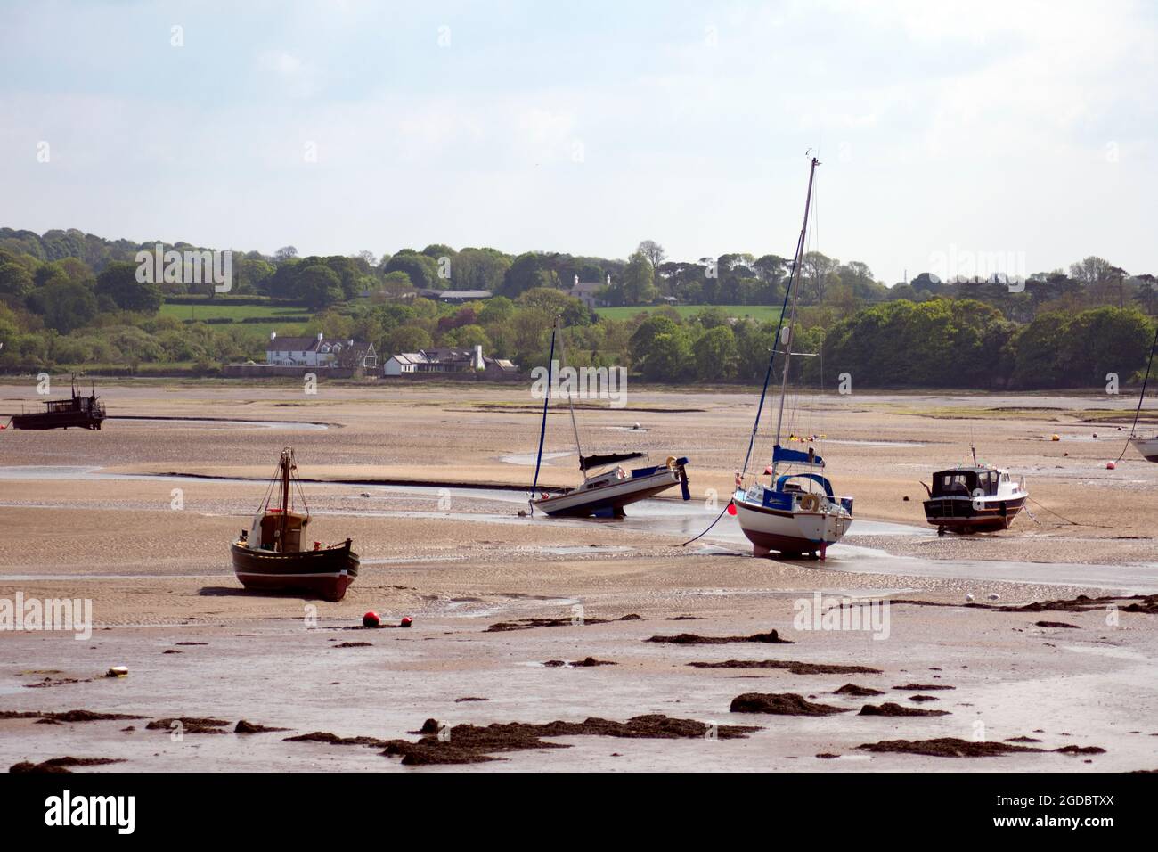Wales – Anglesey Island : Ebbe an der Red Wharf Bay. Sandflächen mit mehreren gestrandeten und gestrandeten Booten. Das Bild kann die gauchenden Feiertage illustrieren Stockfoto