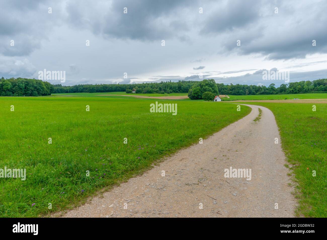 Entlang des Wanderweges Wasserfallsteig, Biosphärenreservat Schwäbische Alb, Baden-Württemberg, Süddeutschland, Europa Stockfoto