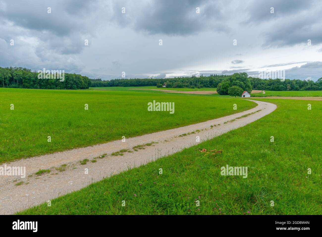 Entlang des Wanderweges Wasserfallsteig, Biosphärenreservat Schwäbische Alb, Baden-Württemberg, Süddeutschland, Europa Stockfoto
