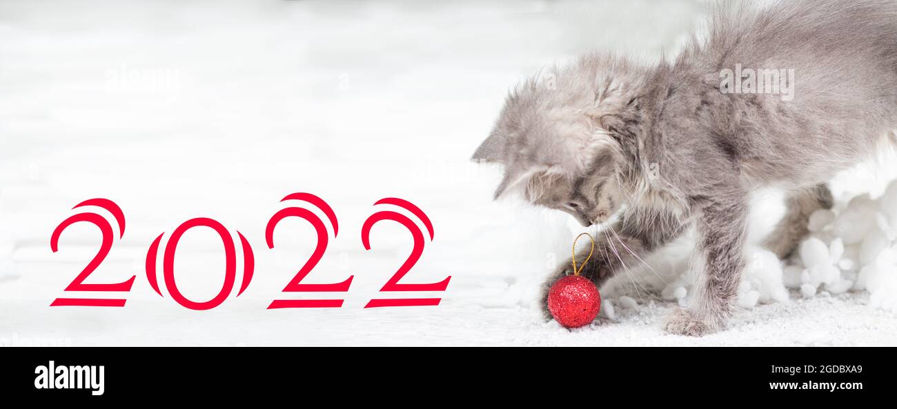 Banner mit dem Neujahr 2022 mit einem Kätzchen auf weißem Hintergrund im Schnee. Das Kätzchen spielt mit einem roten Weihnachtsball Stockfoto
