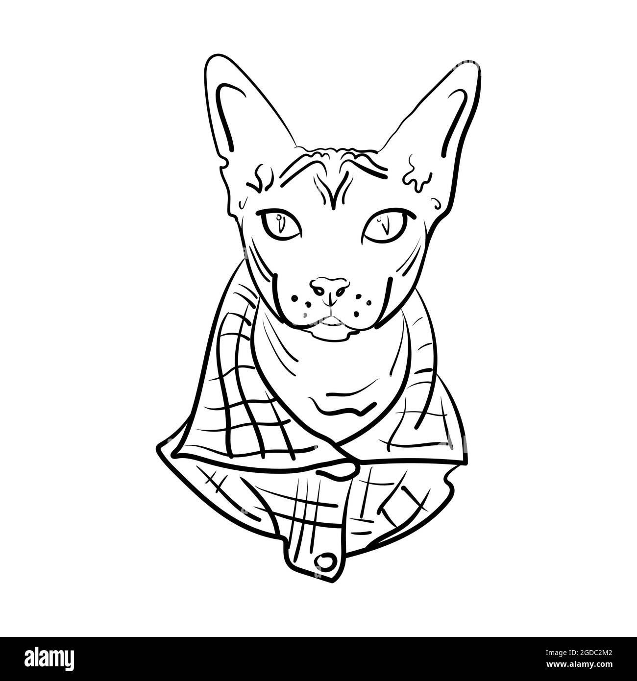 Zeichnung des Gesichts einer Katze in einem karierten Becher. Schwarz-Weiß-Vektorgrafik. Stock Vektor