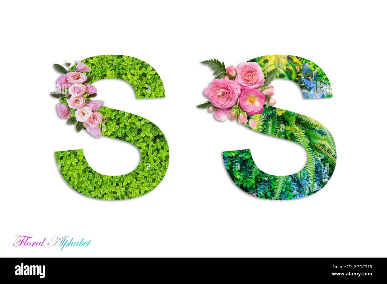 Floral Alphabet Stockfotos Und Bilder Kaufen Seite 3 Alamy