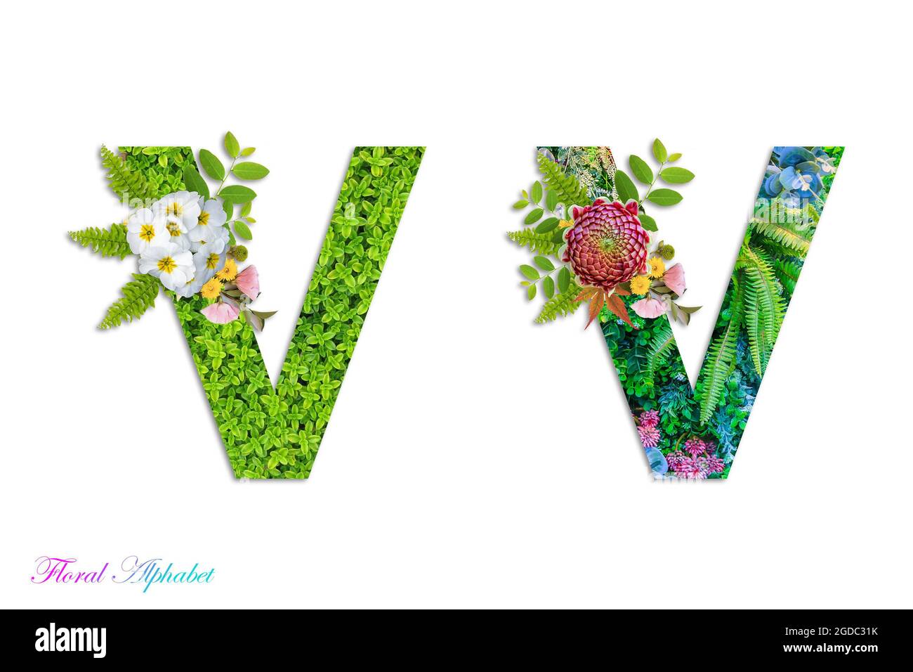 Floral Alphabet Stockfotos Und Bilder Kaufen Seite 3 Alamy
