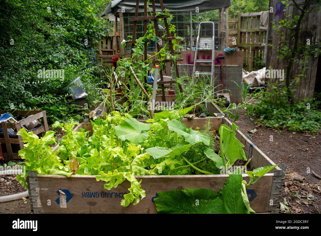 Community garden widerstand Fotos und Bildmaterial in hoher Auflösung