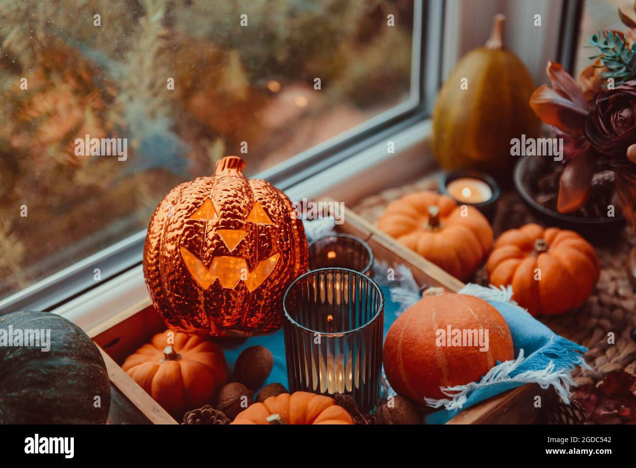 Halloween gemütliche Stimmung Komposition auf der Fensterbank. Beleuchtung Jack-o-Laterne, dekorative Kürbisse, Zapfen, Kerzen auf Holztablett und Strohserviette, warm Stockfoto