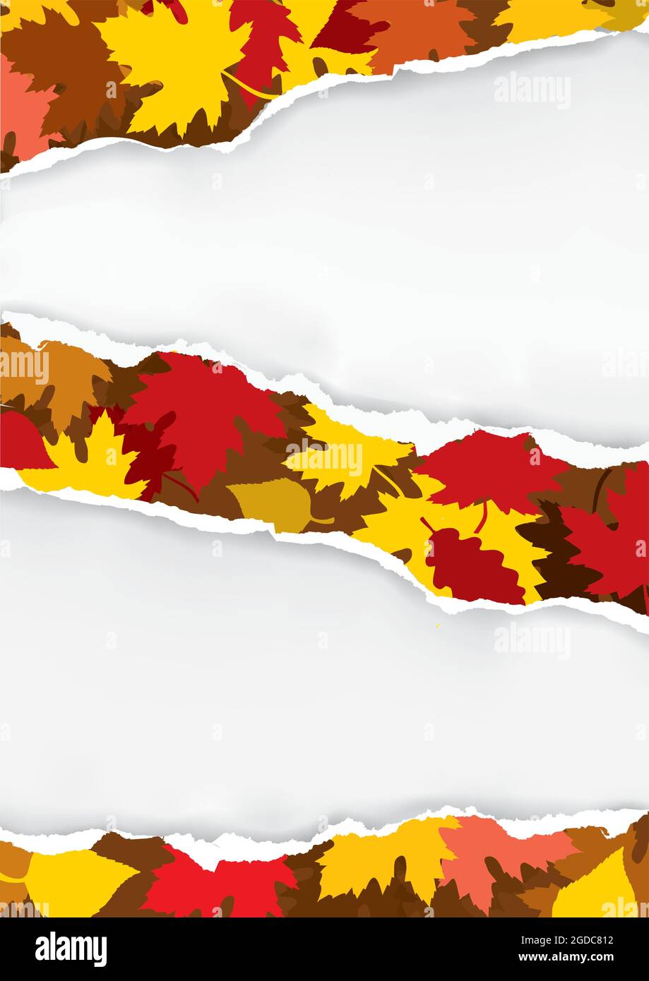 Zerrissenes Papier mit Herbstblättern. Illustration eines zerrissenen Papiers mit Herbstblättern. Platzieren Sie Ihr Bild oder Ihren Text. Vektor verfügbar. Stock Vektor