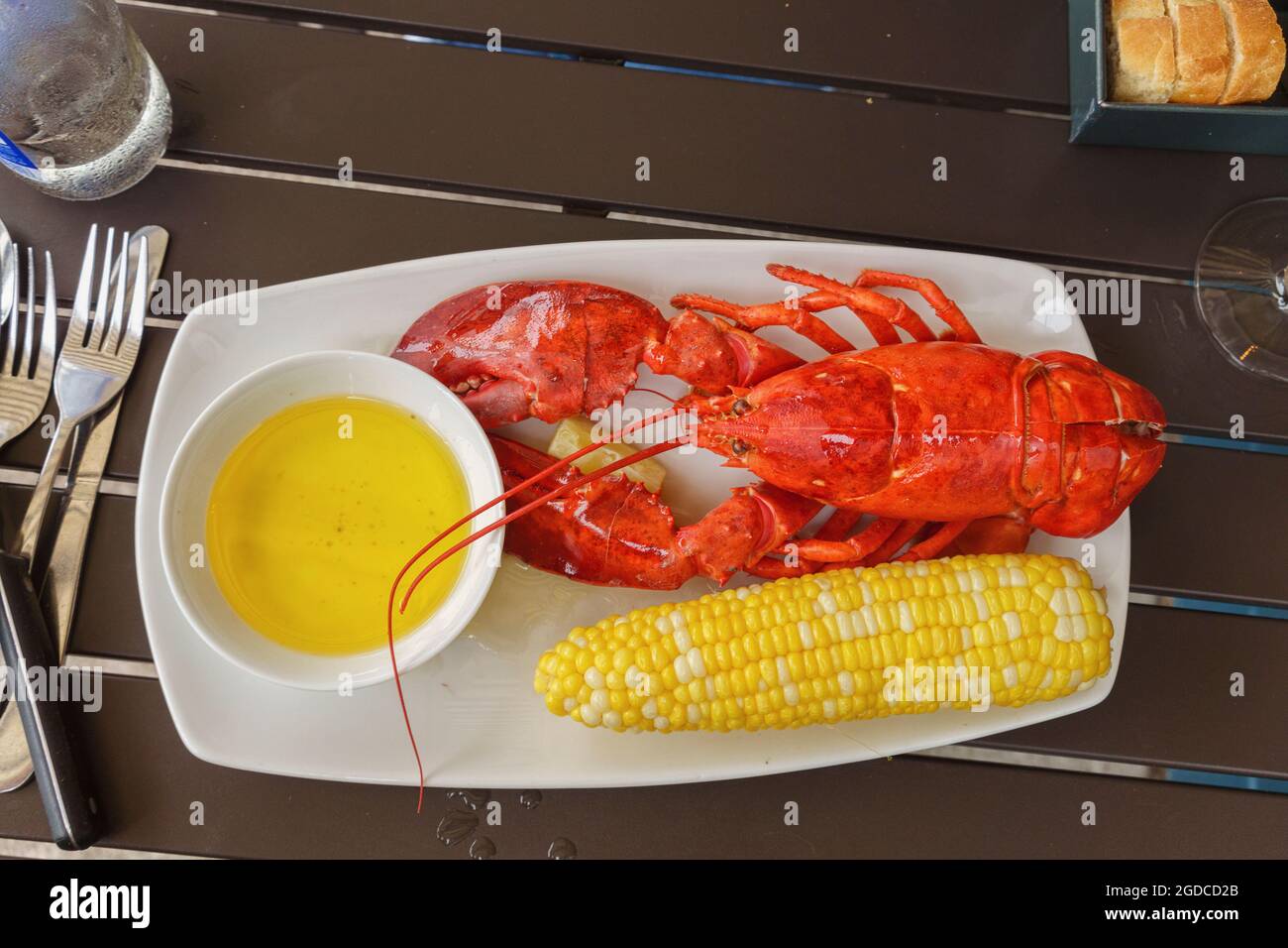 Hummerabendessen mit gezogener Butter, Zitrone und Mais auf dem Maiskolben. Ein authentisches Essen mit Meeresfrüchten aus Neuengland im Sommer. Stockfoto