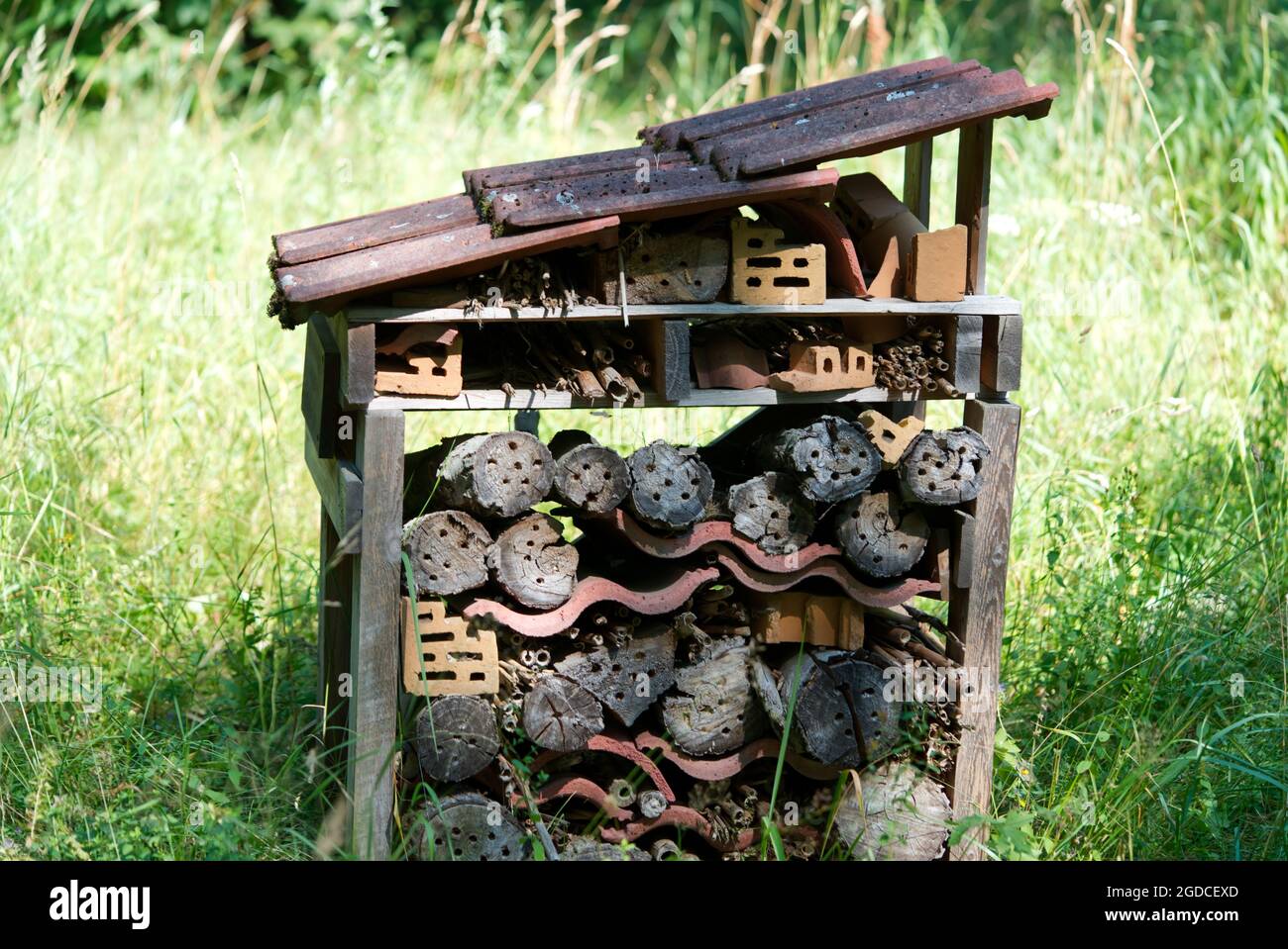 Großes Mückenhotel oder Ameisenhaufen in den Wäldern, die von Menschen gemacht wurden. Stockfoto