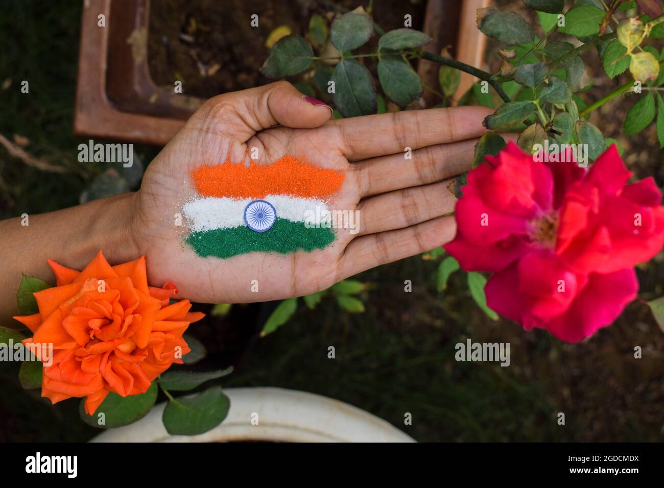 Weibliche Putting Rangoli auf Palmen anlässlich der indischen Unabhängigkeitstag Feier zu Hause Lockdown. Tri Farbe indische Flagge Tatze Design Darstellung frei Stockfoto