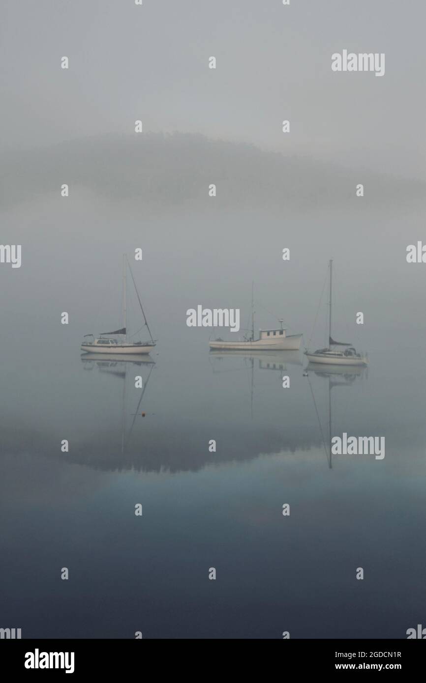 Segelboote vertäuten im Morgennebel in Tasmanien an der Huon-Mündung mit Spiegelbildern im Wasser Stockfoto