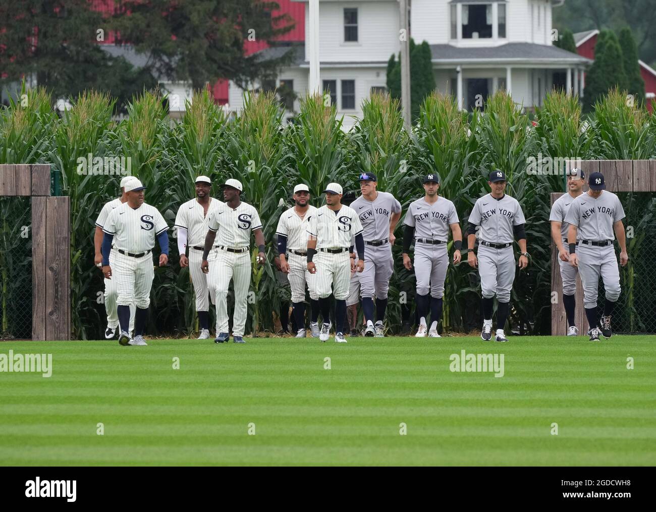 Dyersville, Usa. August 2021. Die Chicago White Sox und die New York Yankees tauchen aus einem Maisfeld auf, das im Film „Field of Dreams“ dargestellt wird, bevor sie am MLB Field of Dreams Game in Dyersville, Iowa, Donnerstag, 12. August 2021 teilnehmen. Foto von Pat Benic/UPI Credit: UPI/Alamy Live News Stockfoto