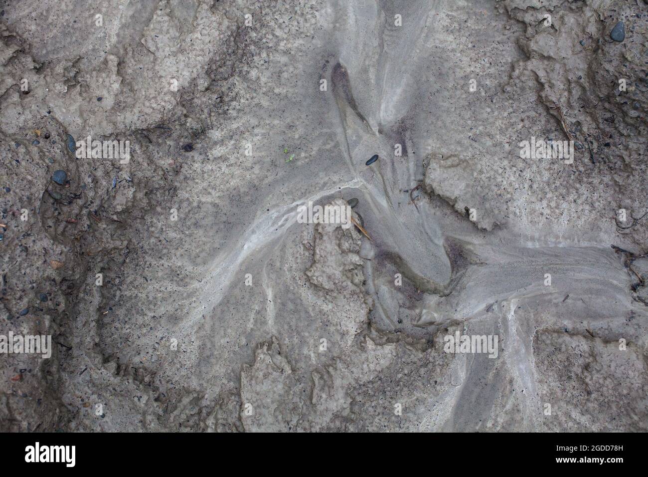 Mikroskalige geografische Merkmale im Schlamm nach einer Flußflut. Die Landschaft sieht aus wie Satellitenbilder, mit Schluchten, Flusstälern, Deltas und Schluchten. Stockfoto