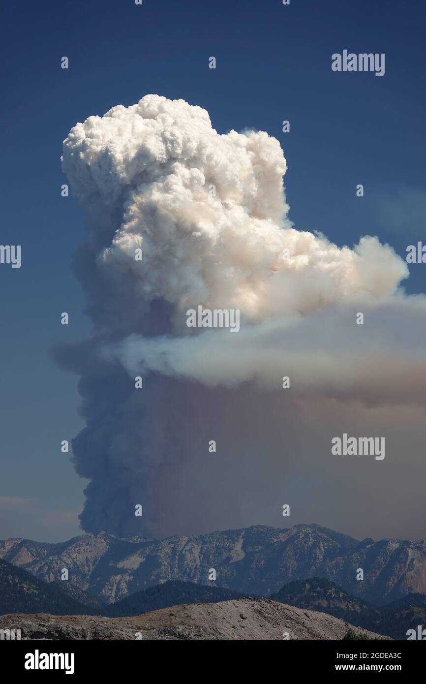 Flammenitus (Pyrocumulus)-Wolke aus dem Waldbrand von Schneider Springs im Bundesstaat Washington, USA, August 2021 Stockfoto