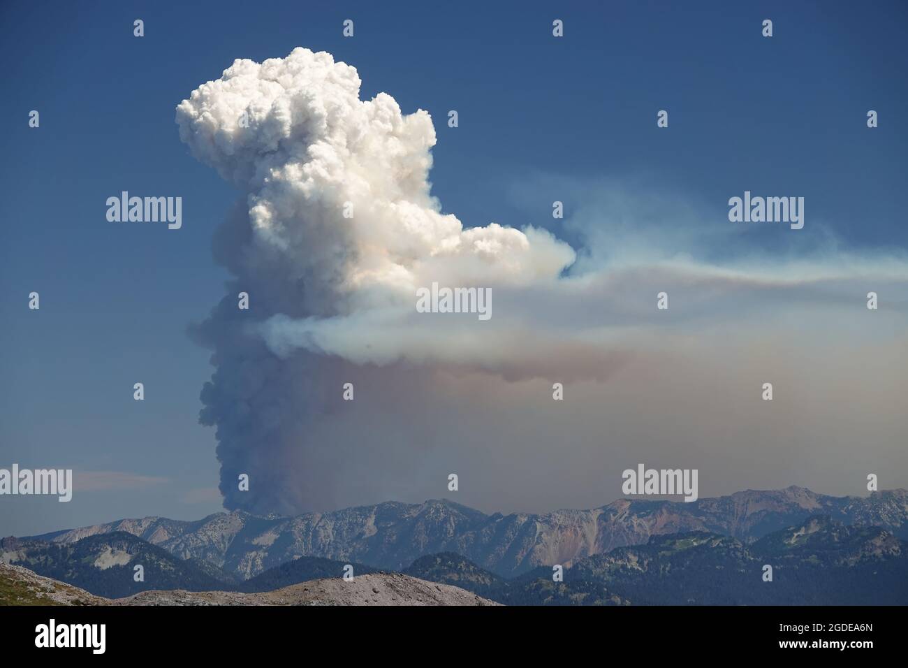 Flammenitus (Pyrocumulus)-Wolke aus dem Waldbrand von Schneider Springs im Bundesstaat Washington, USA, August 2021 Stockfoto
