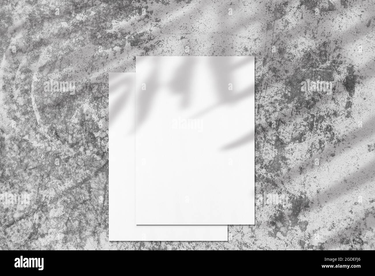 Zwei leere, weiße rechteckige Poster-Diagonalmockups mit Palmschatten Stockfoto