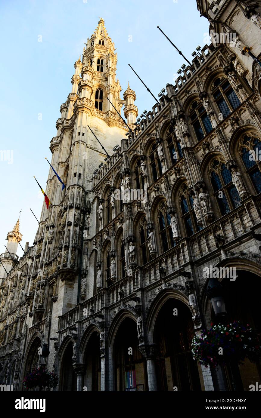 Das Rathaus von Brüssel auf dem Grand Place. Stockfoto