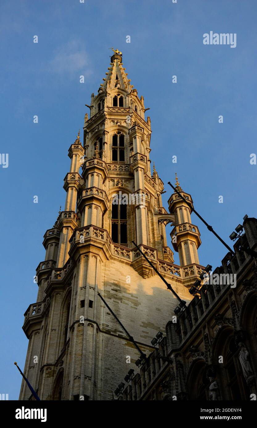 Das Rathaus von Brüssel auf dem Grand Place. Stockfoto