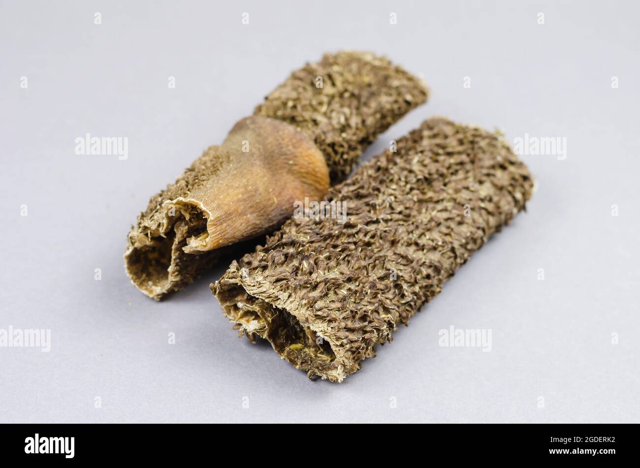 Stangen getrockneter Kuhmagen auf grauem Hintergrund. Nahaufnahme von Rinderkutteln. Zwei gesunde Sticks für Hunde. Makro. Selektiver Fokus. Stockfoto