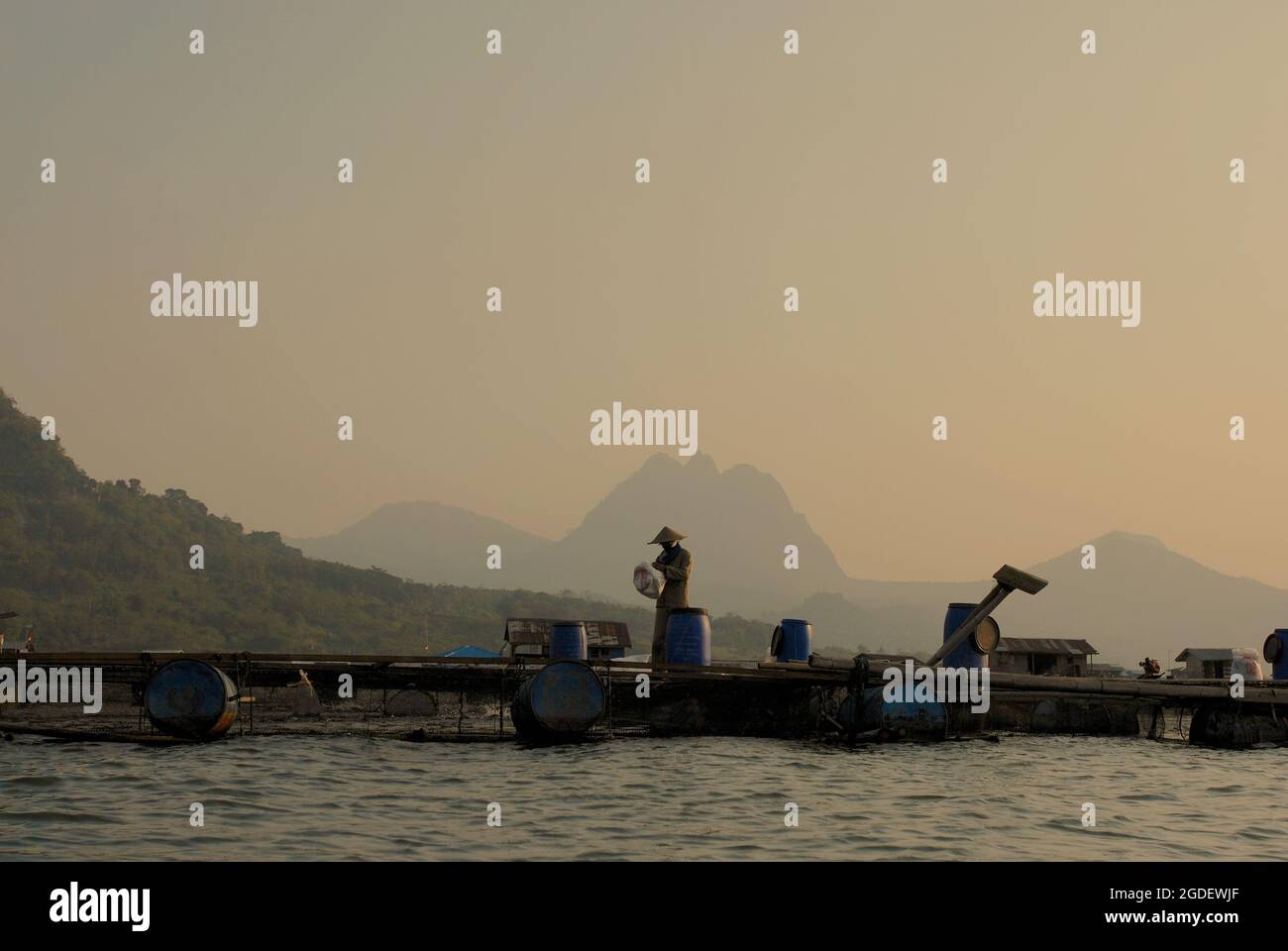 Schwimmendes Dorf, in dem Menschen Süßwasserfischereien am Jatiluhur-Staudamm in West-Java, Indonesien betreiben. Stockfoto