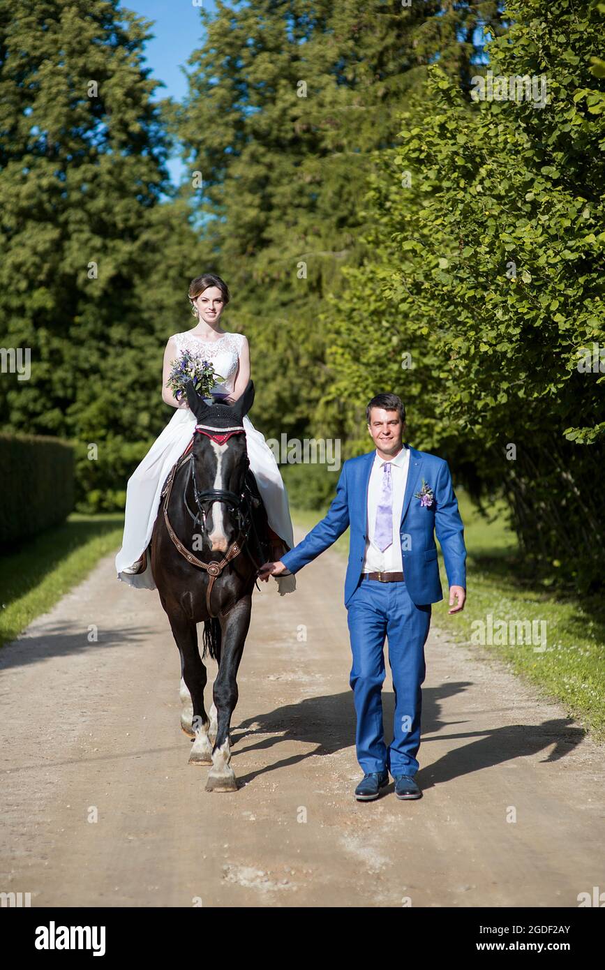 Hochzeits-Porträt im Freien. Die schöne attraktive Braut befreit das Pferd, während ihr Geliebter in der Nähe läuft. Stockfoto