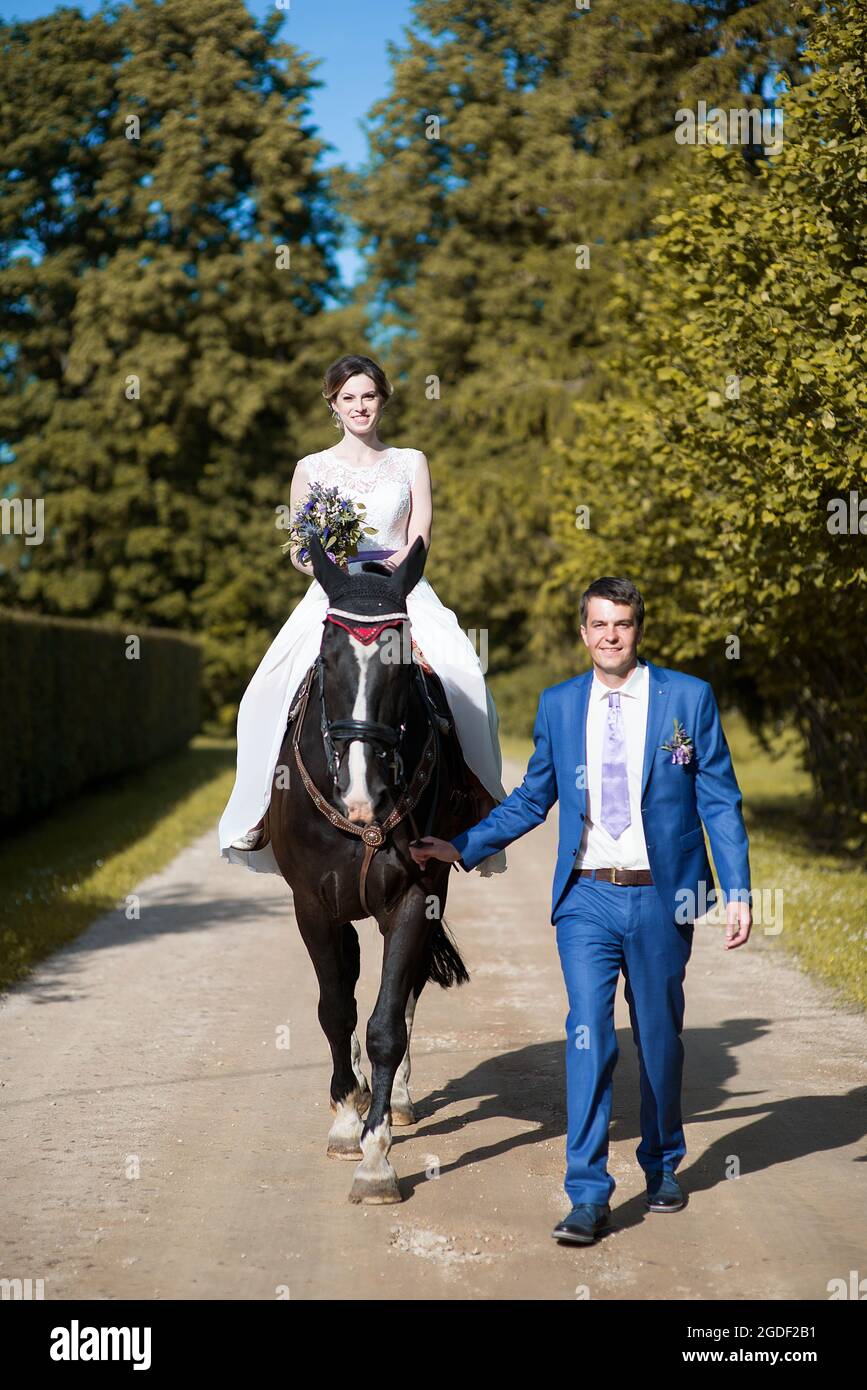 Hochzeits-Porträt im Freien. Die schöne attraktive Braut befreit das Pferd, während ihr Geliebter in der Nähe läuft. Stockfoto