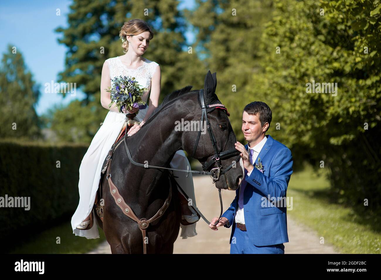 Hochzeits-Porträt im Freien. Die schöne attraktive Braut befreit das Pferd, während ihr Geliebter in der Nähe läuft. Stockfoto