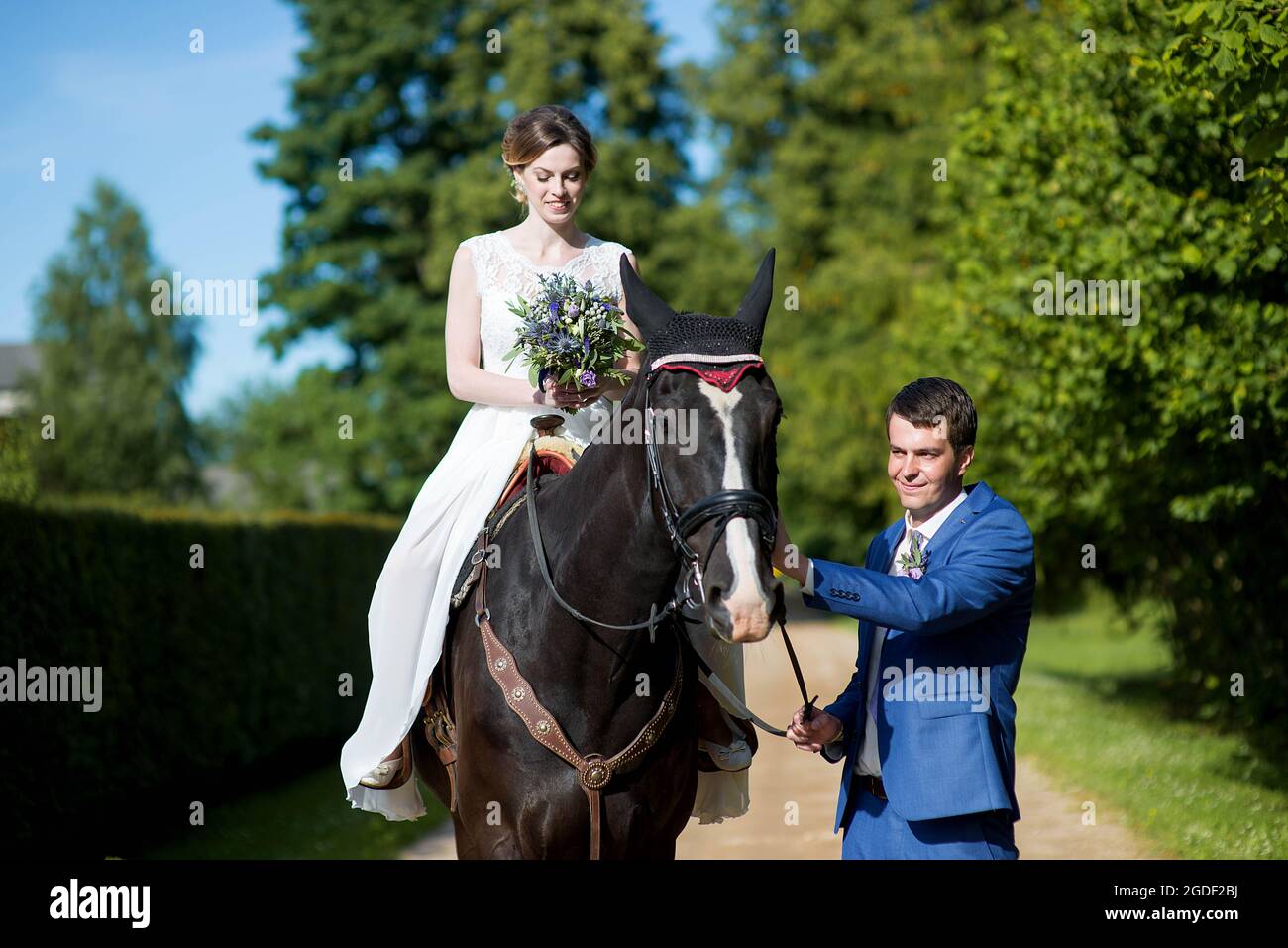 Hochzeits-Porträt im Freien. Die schöne attraktive Braut befreit das Pferd, während ihr Geliebter in der Nähe läuft. Stockfoto