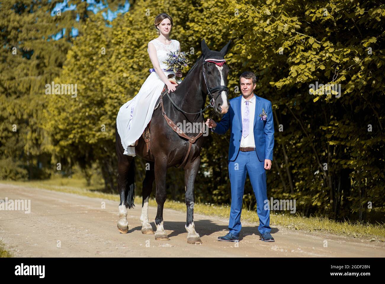Hochzeits-Porträt im Freien. Die schöne attraktive Braut befreit das Pferd, während ihr Geliebter in der Nähe läuft. Stockfoto