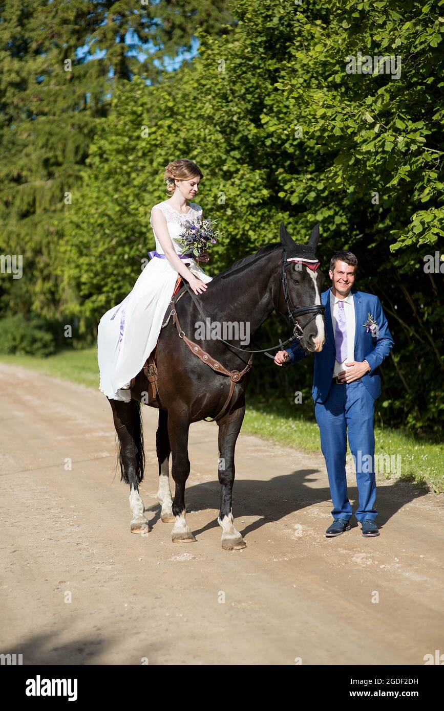 Hochzeits-Porträt im Freien. Die schöne attraktive Braut befreit das Pferd, während ihr Geliebter in der Nähe läuft. Stockfoto