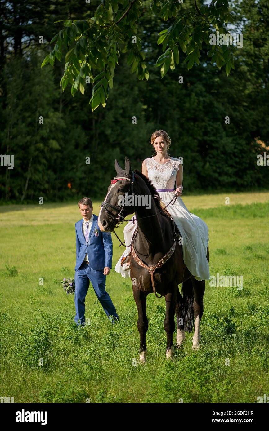 Hochzeits-Porträt im Freien. Die schöne attraktive Braut befreit das Pferd, während ihr Geliebter in der Nähe läuft. Stockfoto