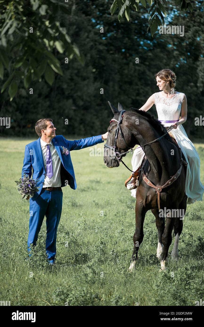 Hochzeits-Porträt im Freien. Die schöne attraktive Braut befreit das Pferd, während ihr Geliebter in der Nähe läuft. Stockfoto