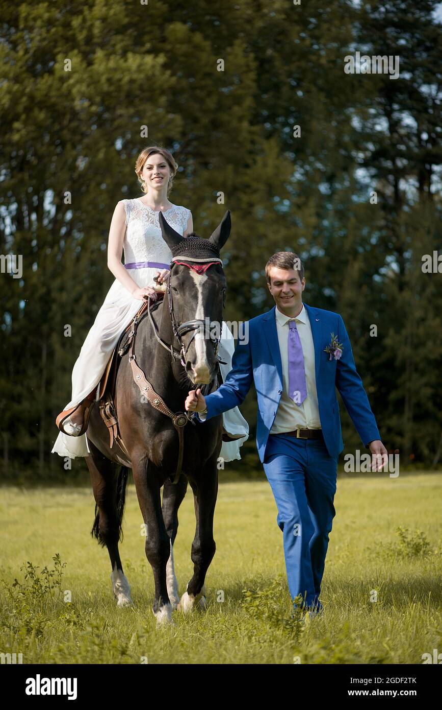 Hochzeits-Porträt im Freien. Die schöne attraktive Braut befreit das Pferd, während ihr Geliebter in der Nähe läuft. Stockfoto
