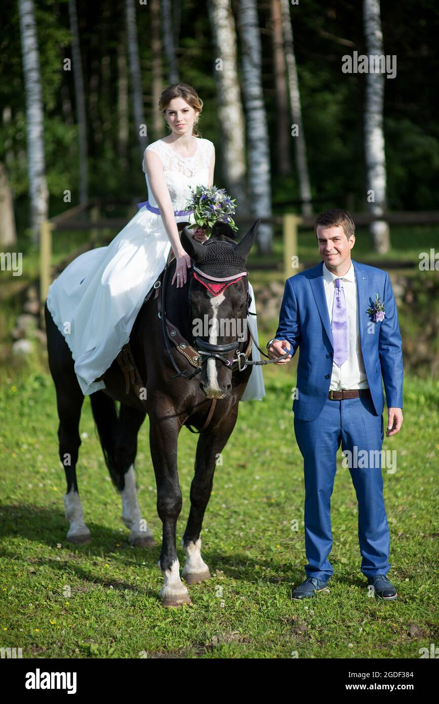Hochzeits-Porträt im Freien. Die schöne attraktive Braut befreit das Pferd, während ihr Geliebter in der Nähe läuft. Stockfoto
