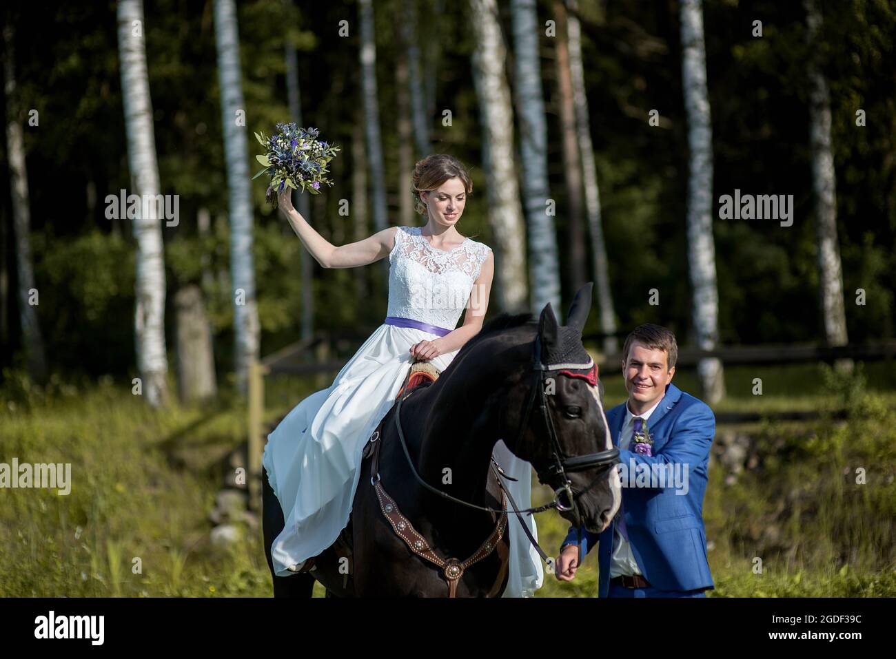 Hochzeits-Porträt im Freien. Die schöne attraktive Braut befreit das Pferd, während ihr Geliebter in der Nähe läuft. Stockfoto