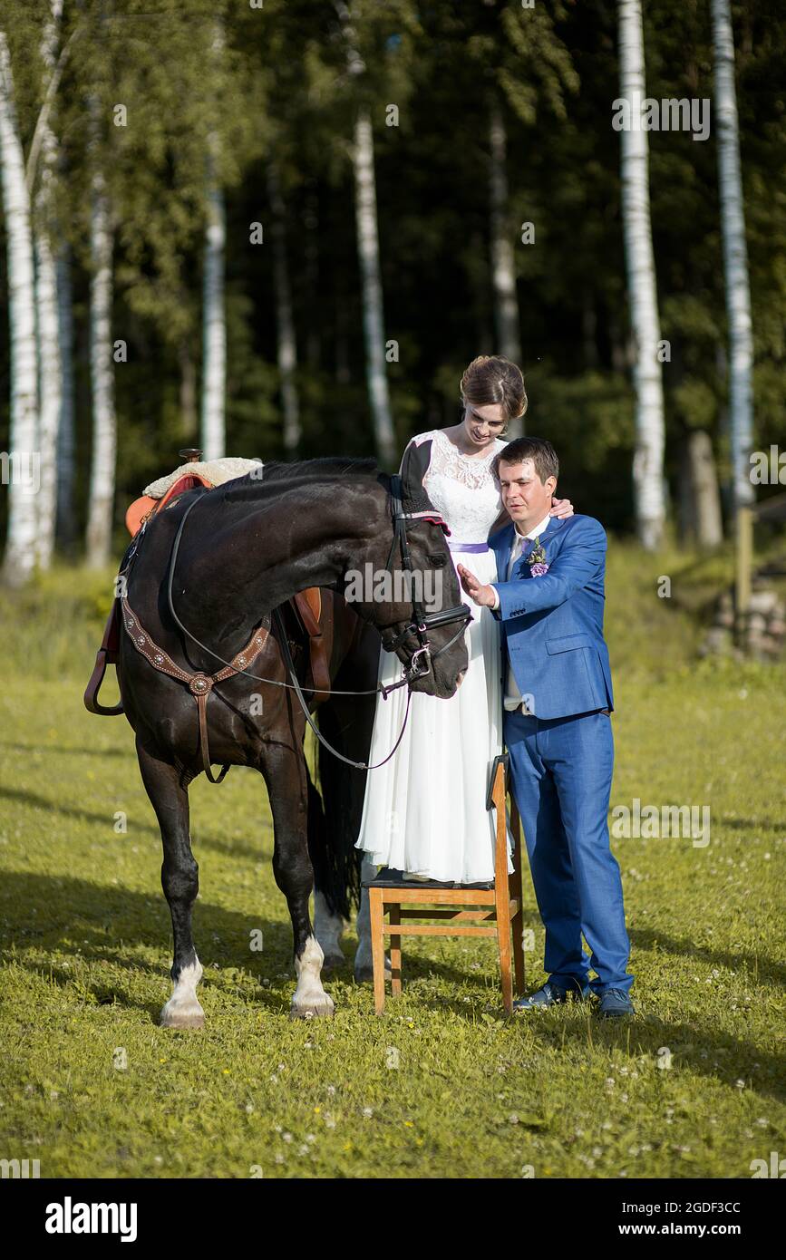 Frisch verheiratetes Paar stehen mit schönen großen Pferd auf Natur, Sommer sonnigen Tag Stockfoto