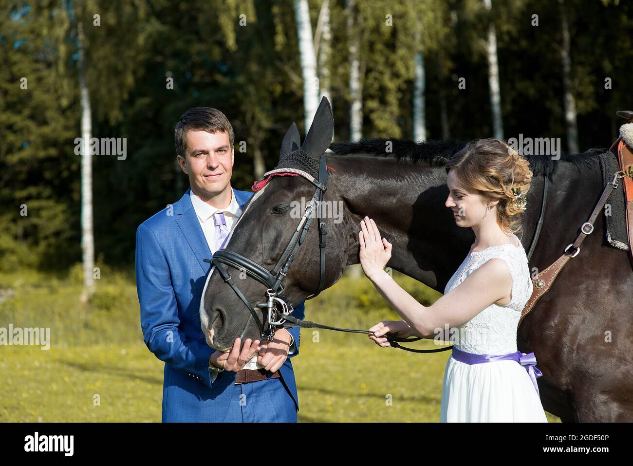 Frisch verheiratetes Paar stehen mit schönen großen Pferd auf Natur, Sommer sonnigen Tag Stockfoto