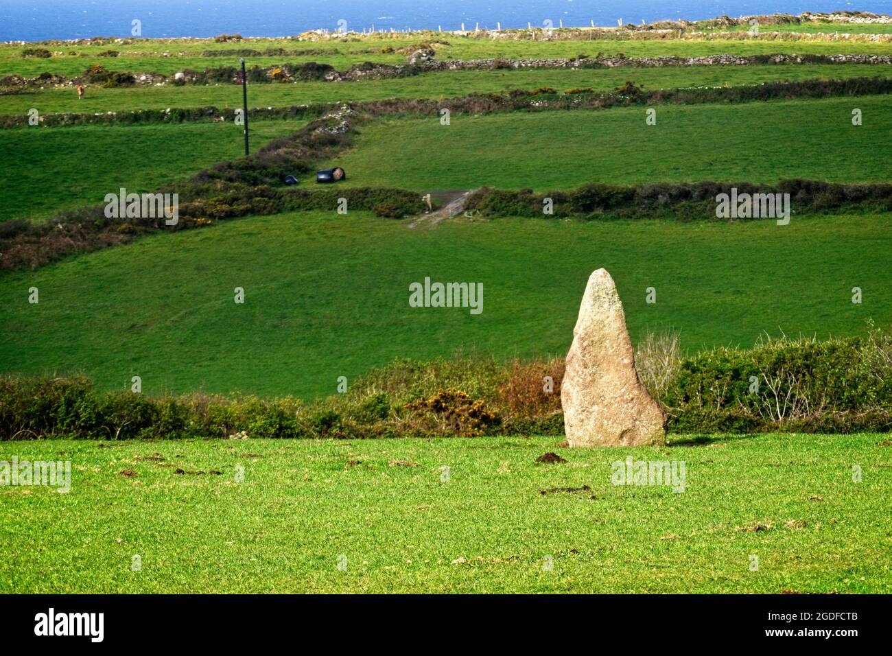 Stehender Stein auf einem Weidefeld, Nanquidno, Cornwall, England, Großbritannien. Stockfoto