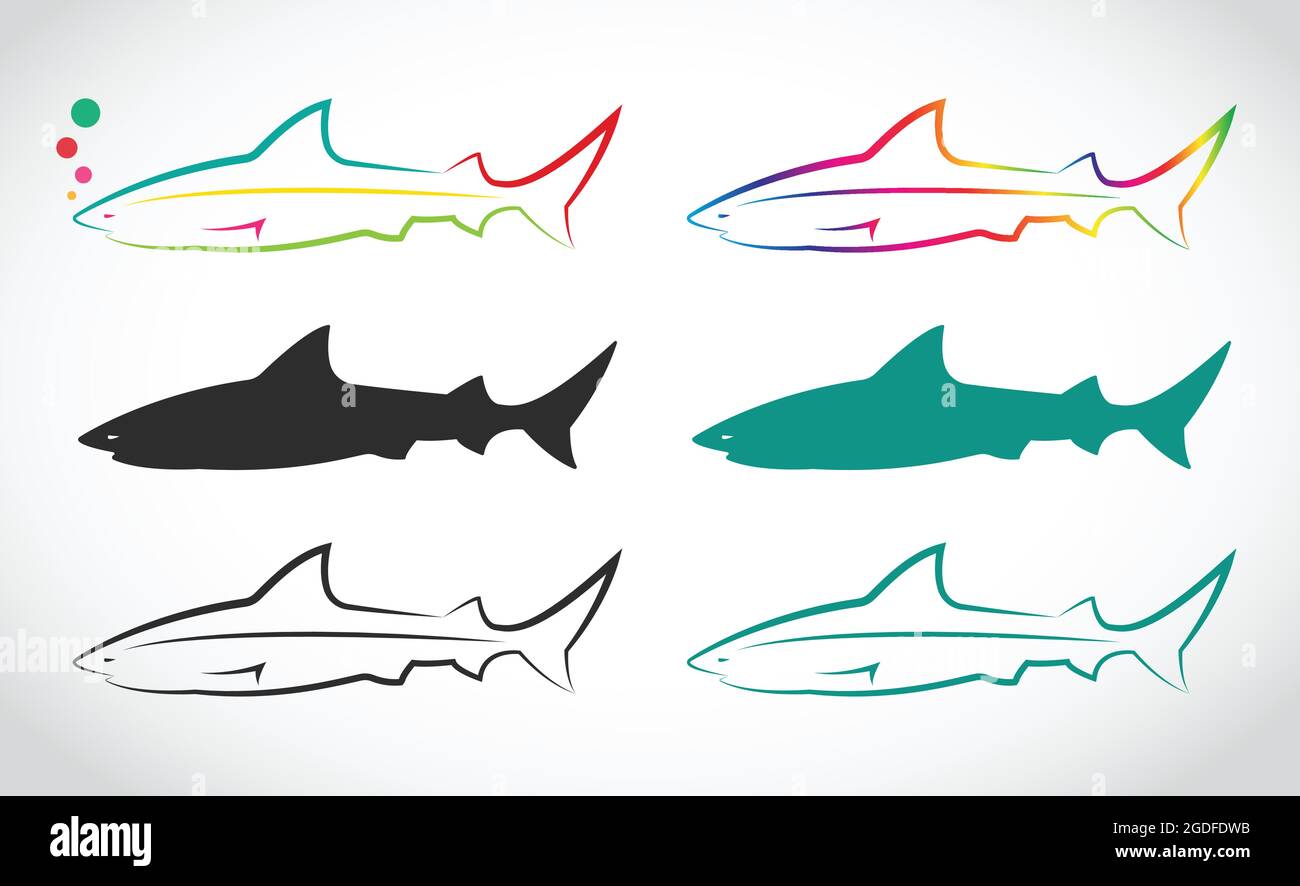 Vektor-Gruppe von Hai auf weißem Hintergrund. Leicht editierbare Vektorgrafik mit Ebenen. Wilde Tiere. Stock Vektor