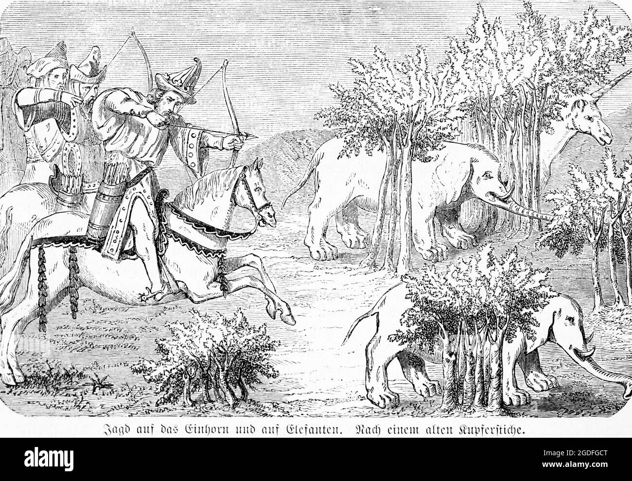 Reiter auf Einhorn-Jagd und Elefanten mit Pfeil und Bogen, Indien, Asien, historische Abbildung 1881 Stockfoto