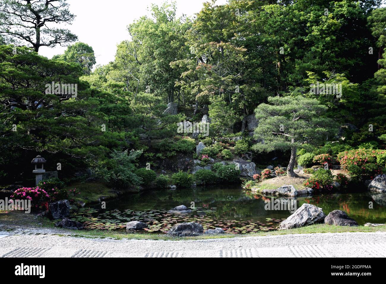 Japanischer Garten in Japan Tempel kyoto japan Stockfoto