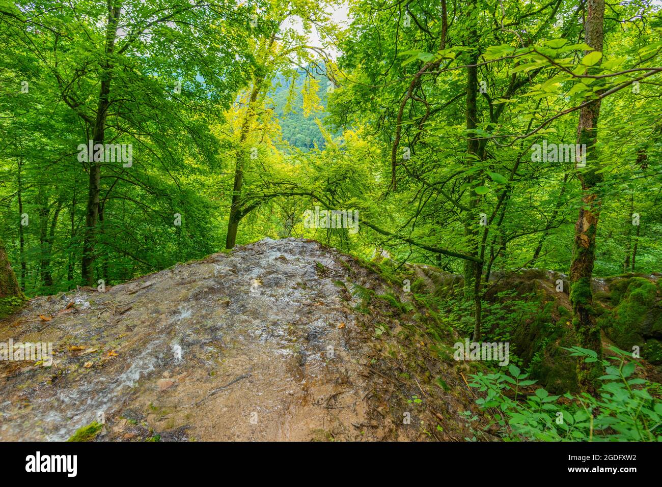 Biosphärengebiet Schwäbische Alb, Baden-Württemberg, Süddeutschland, Europa Stockfoto