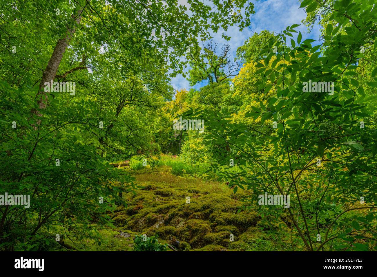 Biosphärengebiet Schwäbische Alb, Baden-Württemberg, Süddeutschland, Europa Stockfoto