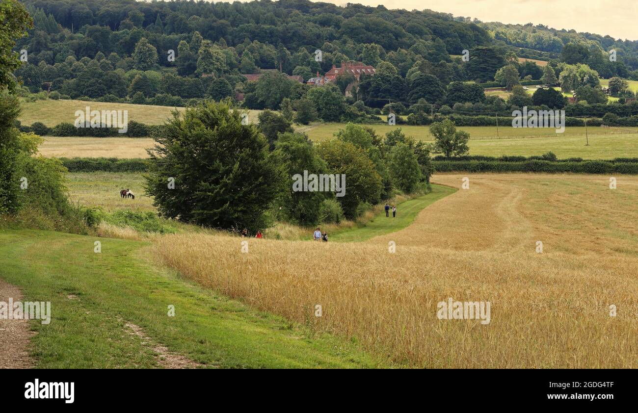 Eine englische ländliche Landschaft mit Pfad zwischen Feldern auf dem Chiltern Hill in Buckinghamshire Stockfoto